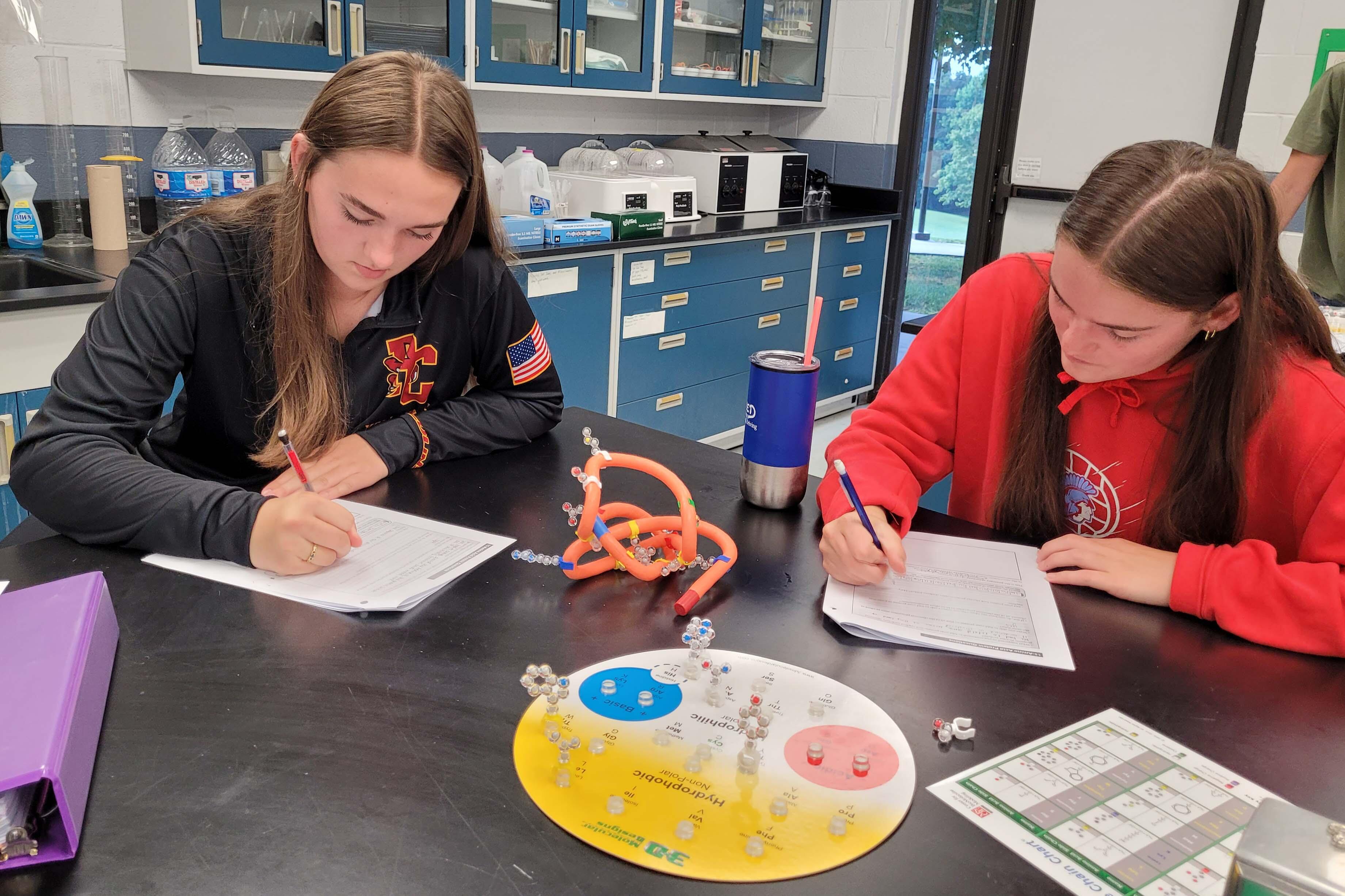 Students in College Biology compare structure and polarity of amino acids common in human proteins