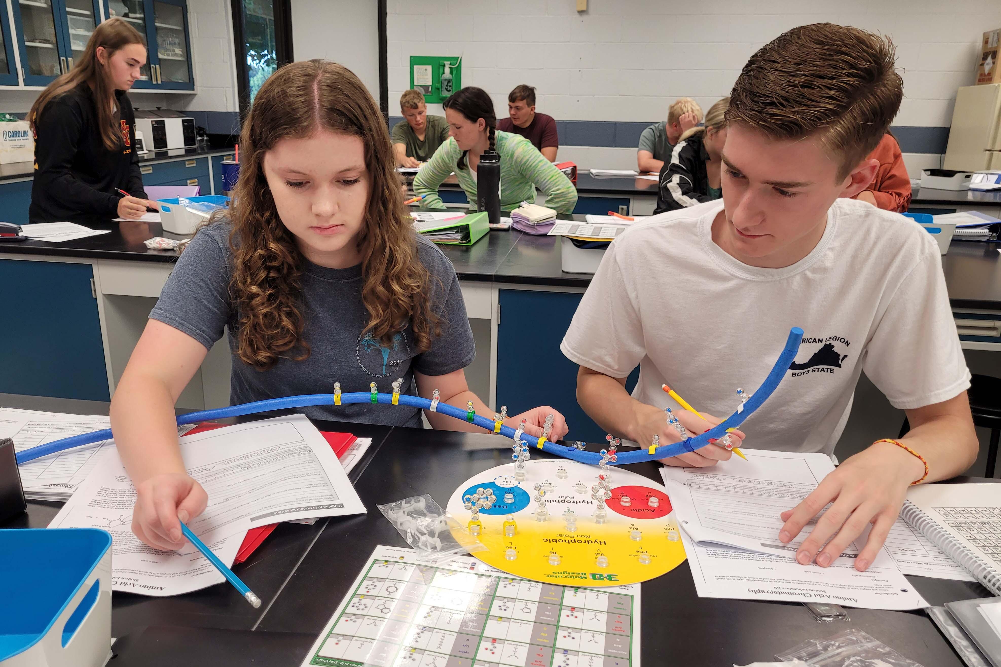 Students in College Biology model primary structure of proteins.